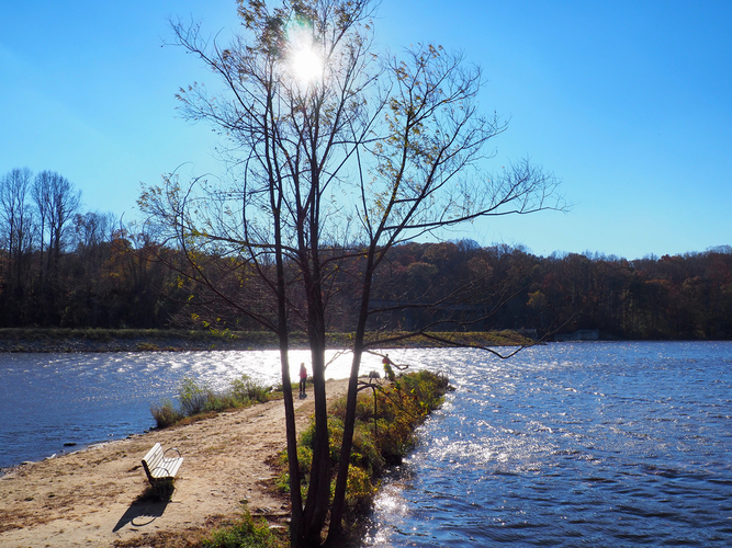 Lake Accotink Trail Loop