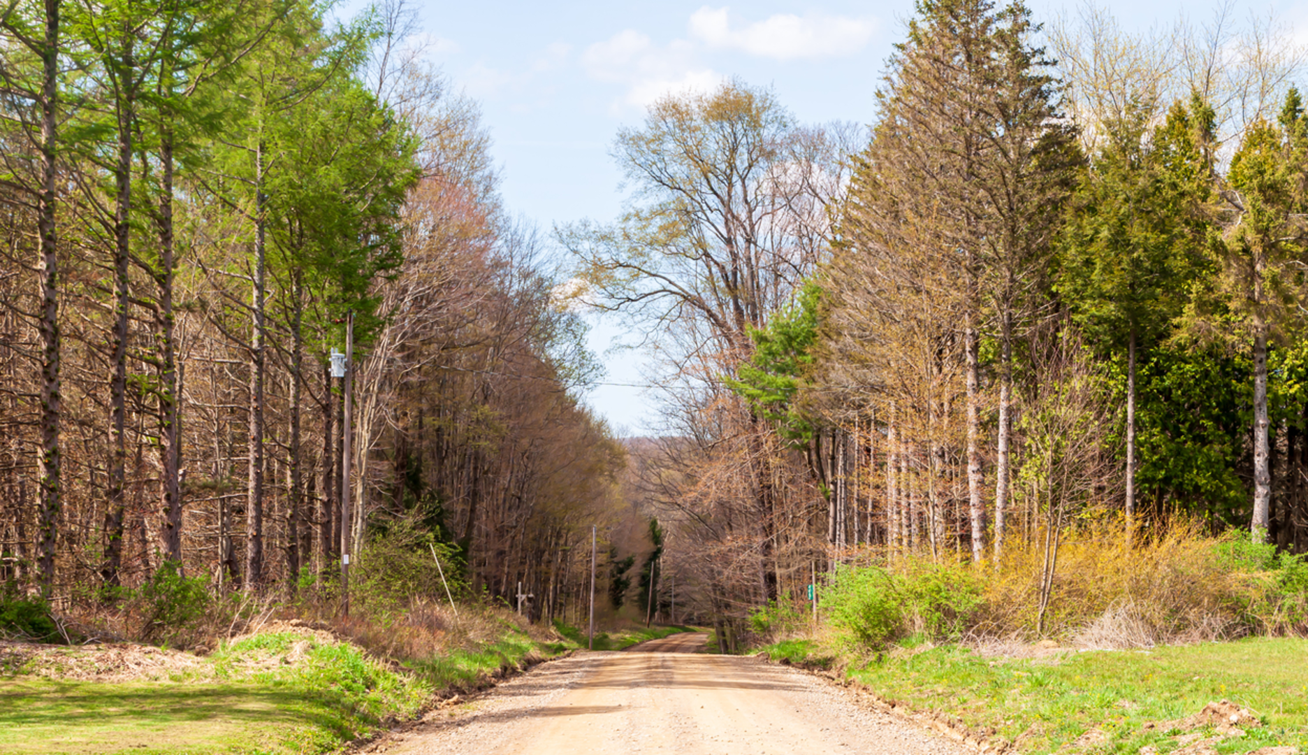 An image depicting the trail Tidioute Riverside Trail and its surrounding area.