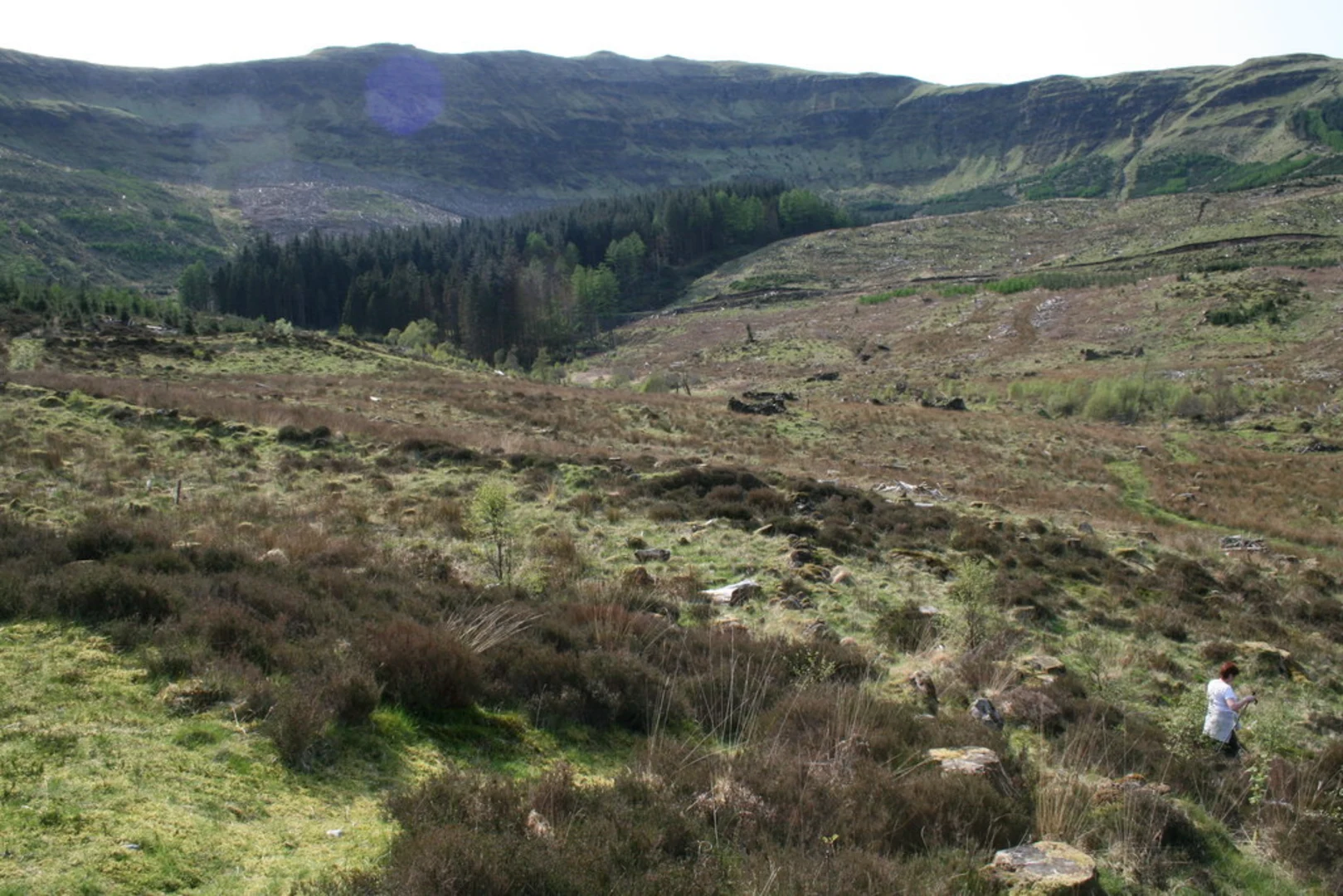 An image depicting the trail Mary’s Path Trail and its surrounding area.