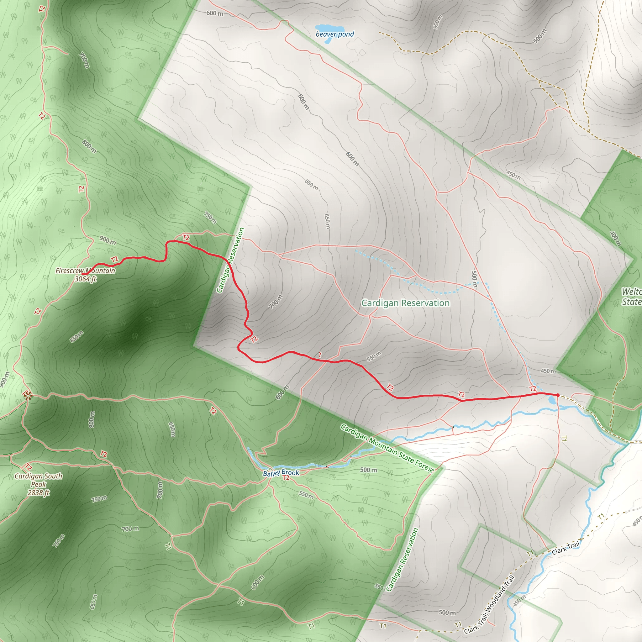 Firescrew Mountain Out and Back mobile static map