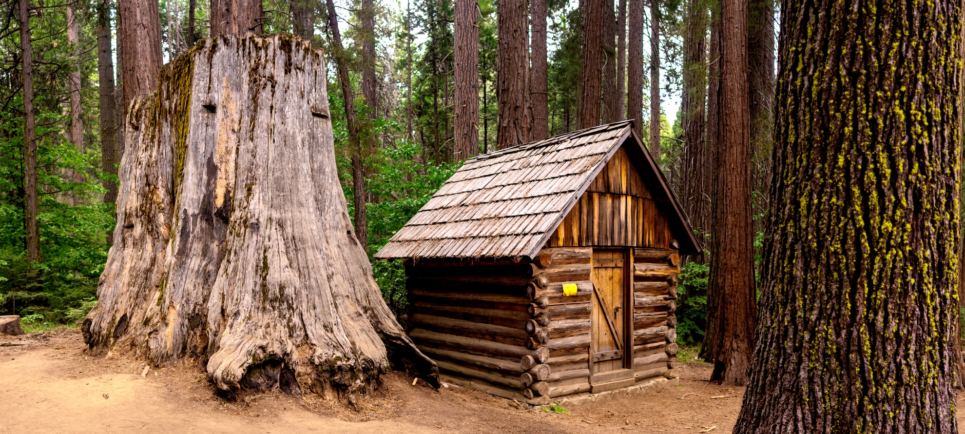 An image depicting the trail Chimney Tree Trail and its surrounding area.