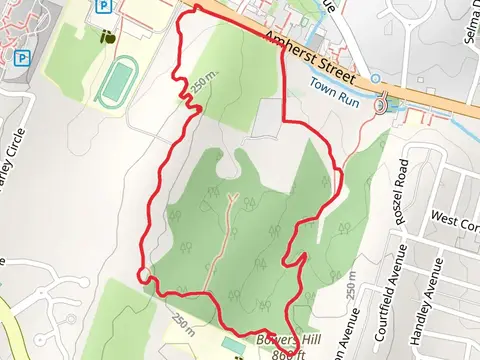 Bowers Hill via Pasture, ridge and Meadow Loop Trail