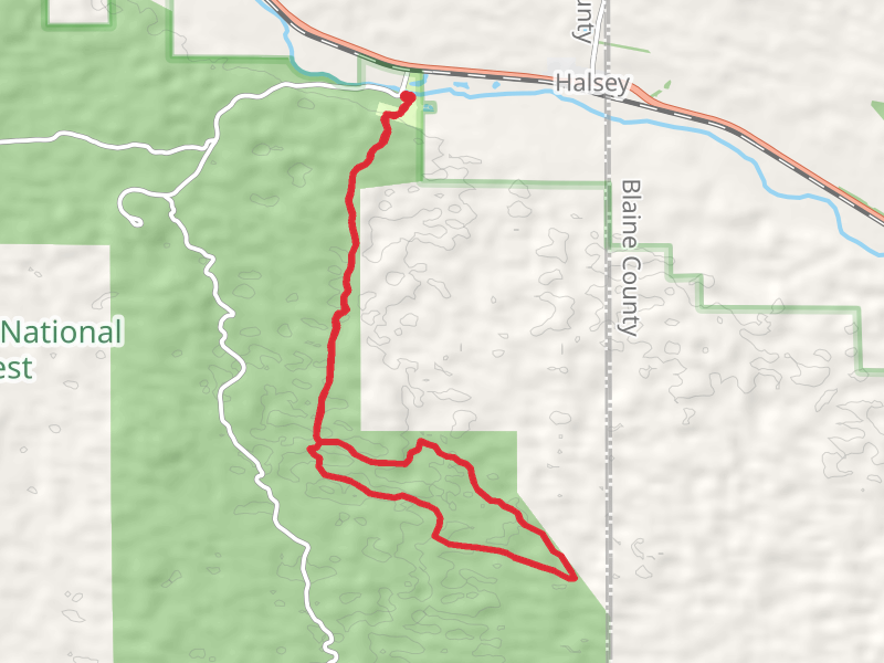 Poison Ivy Loop Trail