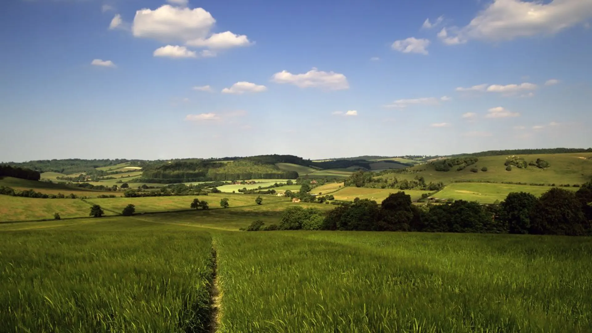 An image depicting the trail Chiltern Way and its surrounding area.