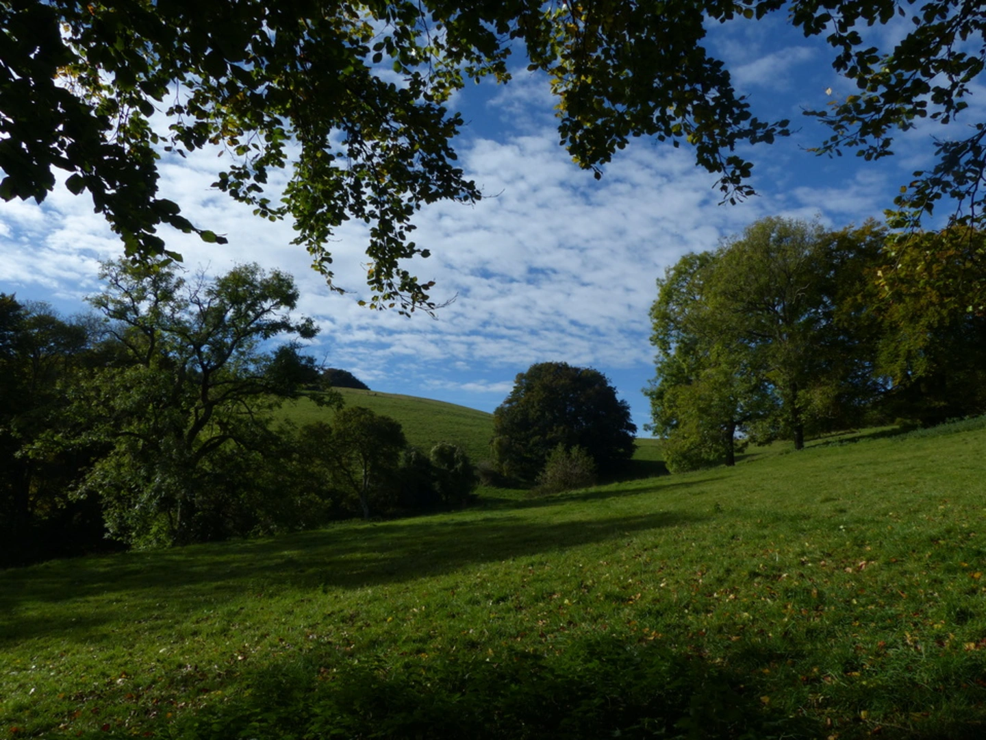 Compton Abbas Loop | Dorset | England