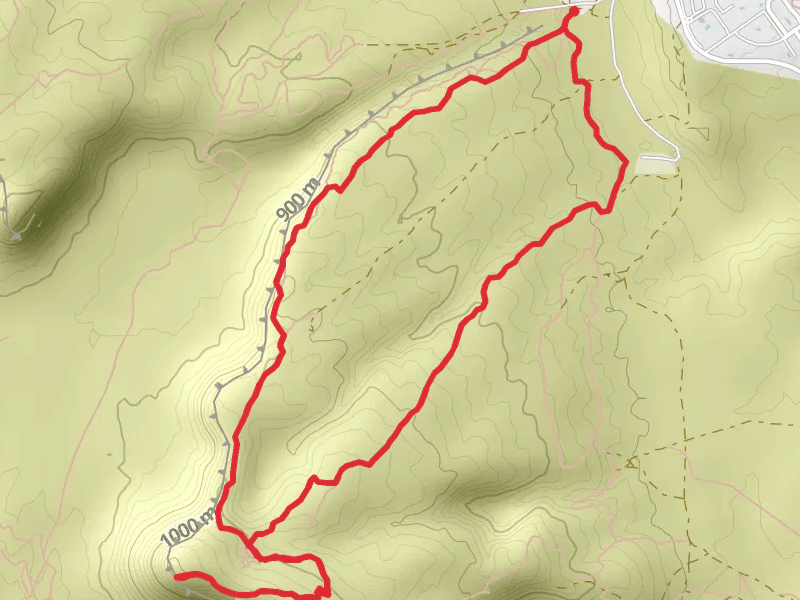 Zen Trail Loop