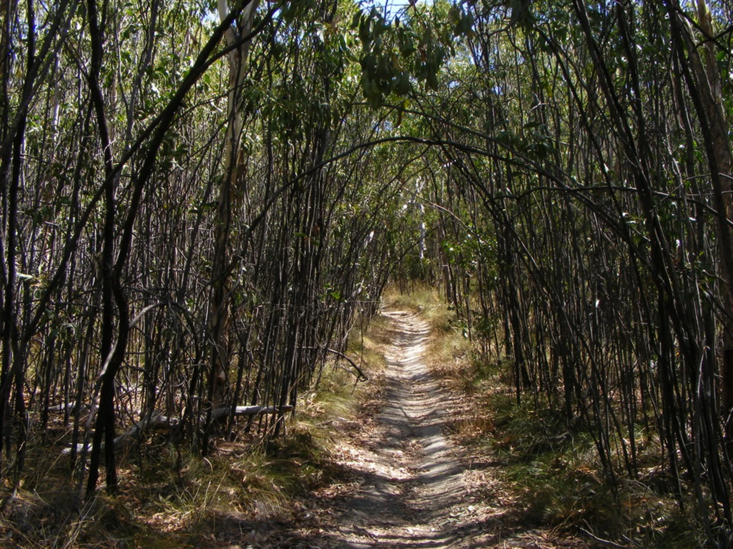 An image depicting the trail Southern Park - Perimeter Loop Trail and its surrounding area.