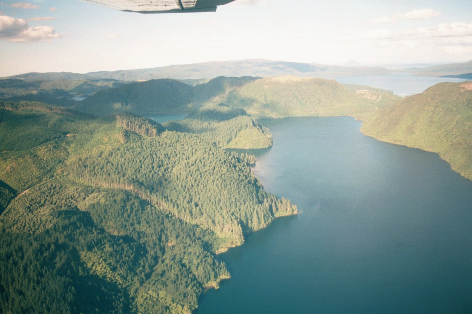 An image depicting the trail Whakarewarewa Circuit - The Black Track and its surrounding area.