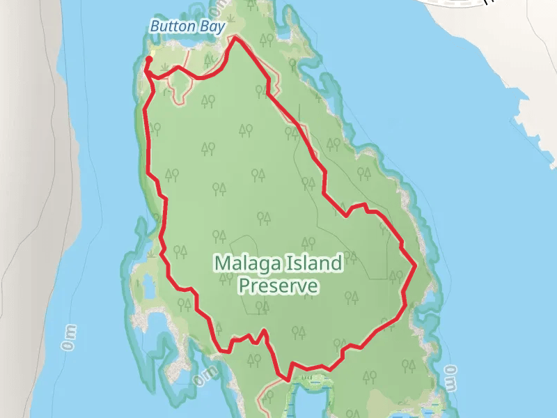 Button Bay Loop