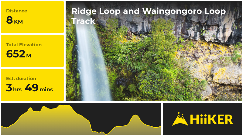 Ridge Loop and Waingongoro Loop Track | Stratford | New Zealand