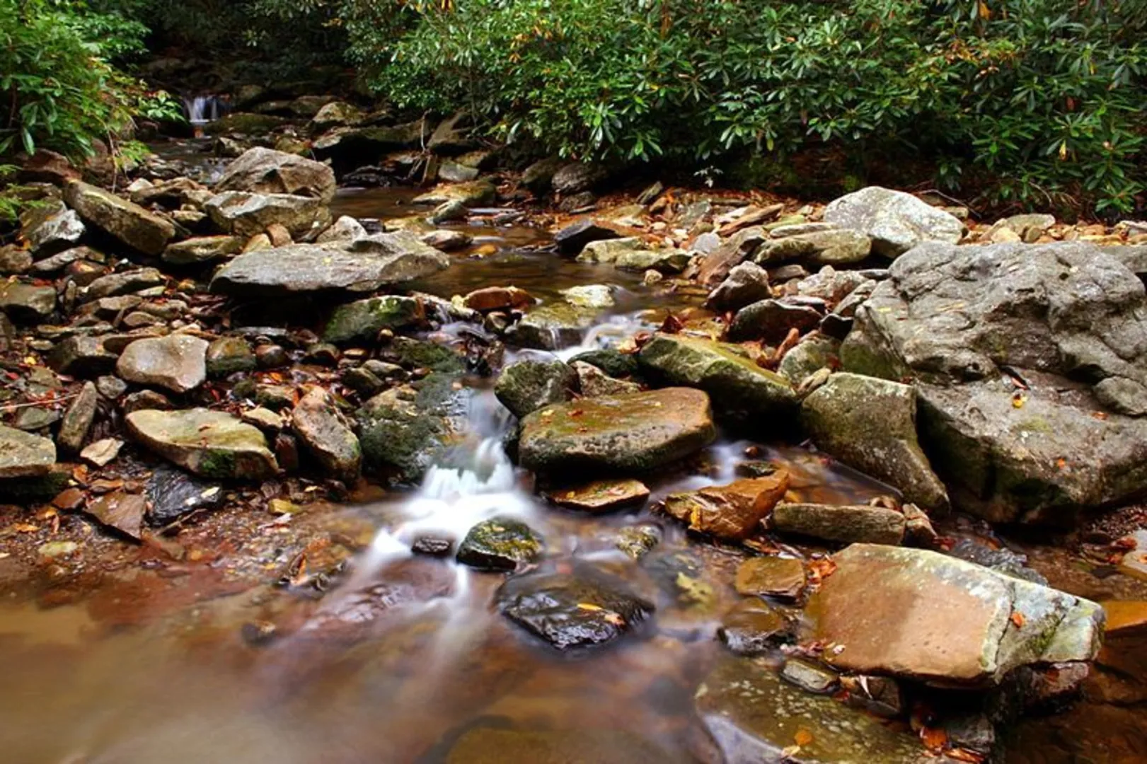An image depicting the trail Stonecoal Ridge Trail and its surrounding area.
