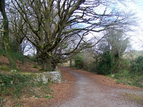 Cappagh Park Loop