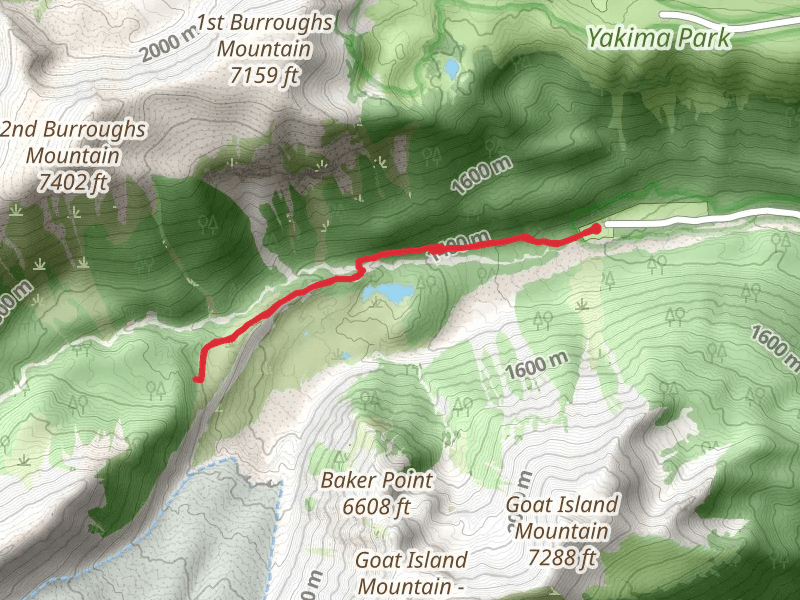 Emmons Moraine and Glacier Basin Trail