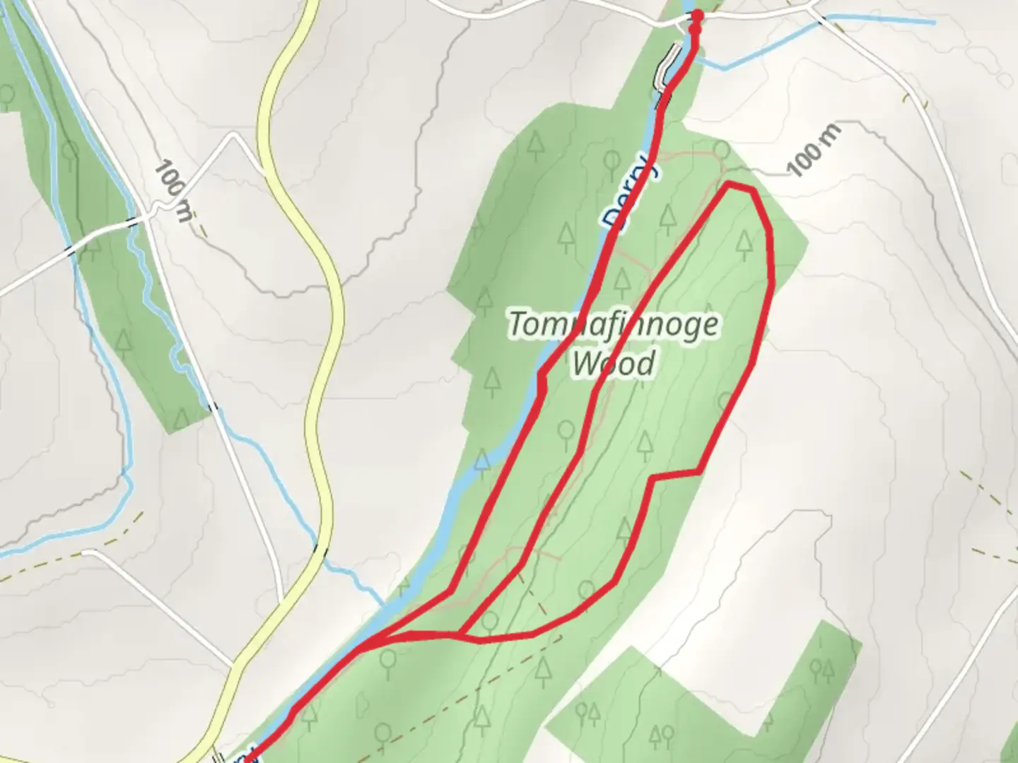 An image depicting the trail Tomnafinnoge Woods and its surrounding area.