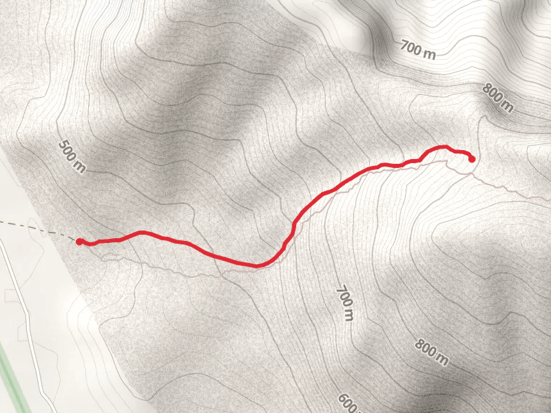Gully Trail