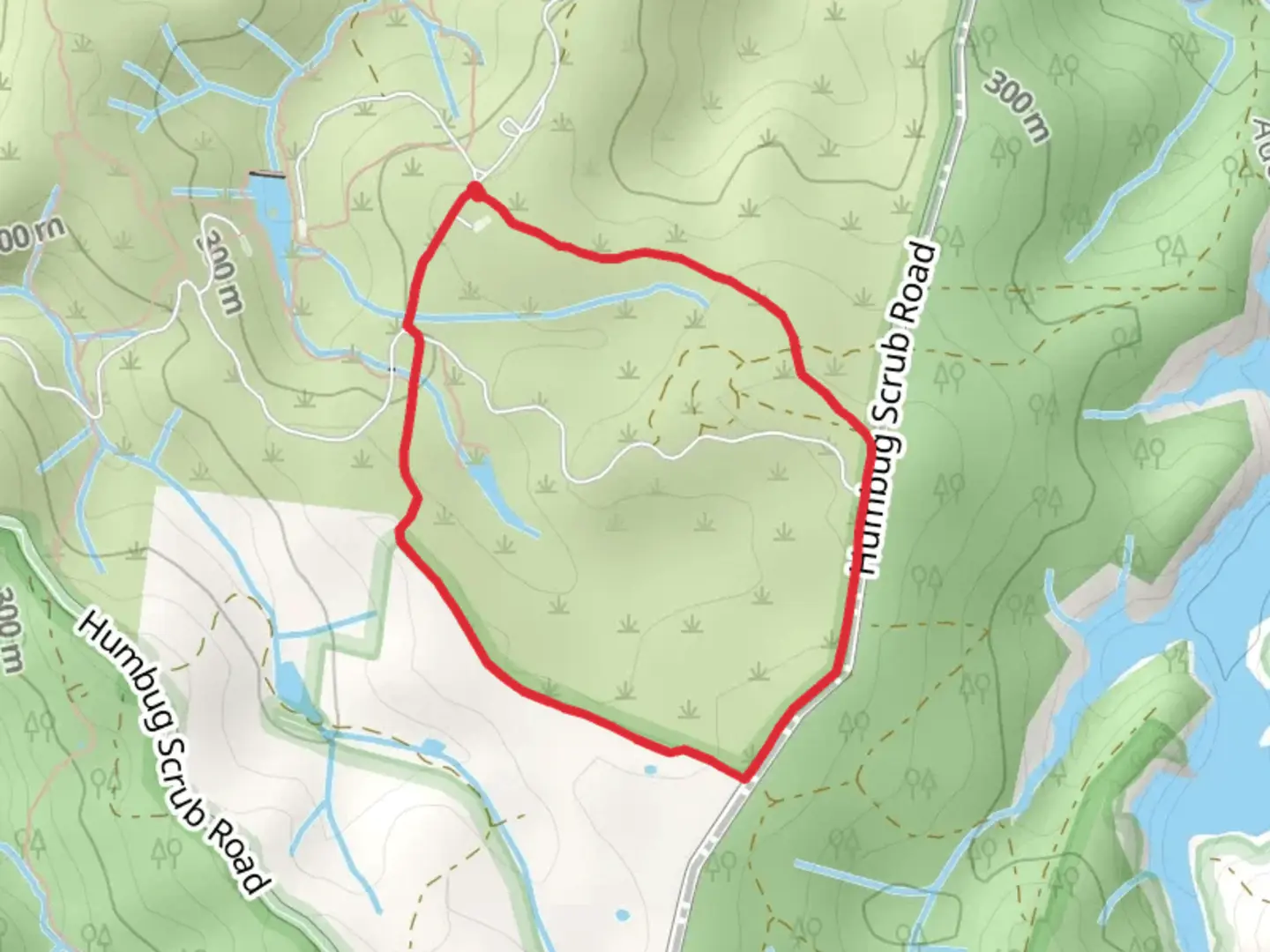 An image depicting the trail Tree Creeper Loop Track and its surrounding area.