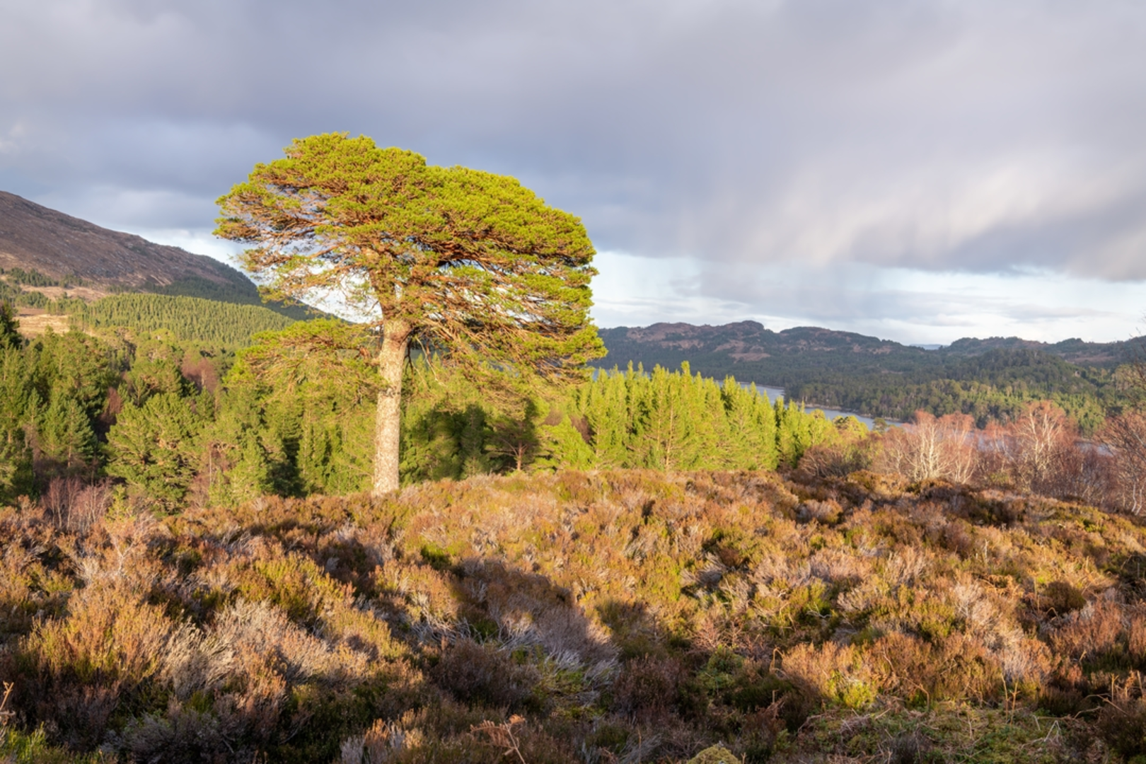 An image depicting the trail Càrn Eige via Sgurr Na Lapaich and its surrounding area.