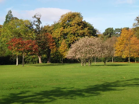 Calderstones Park Loop