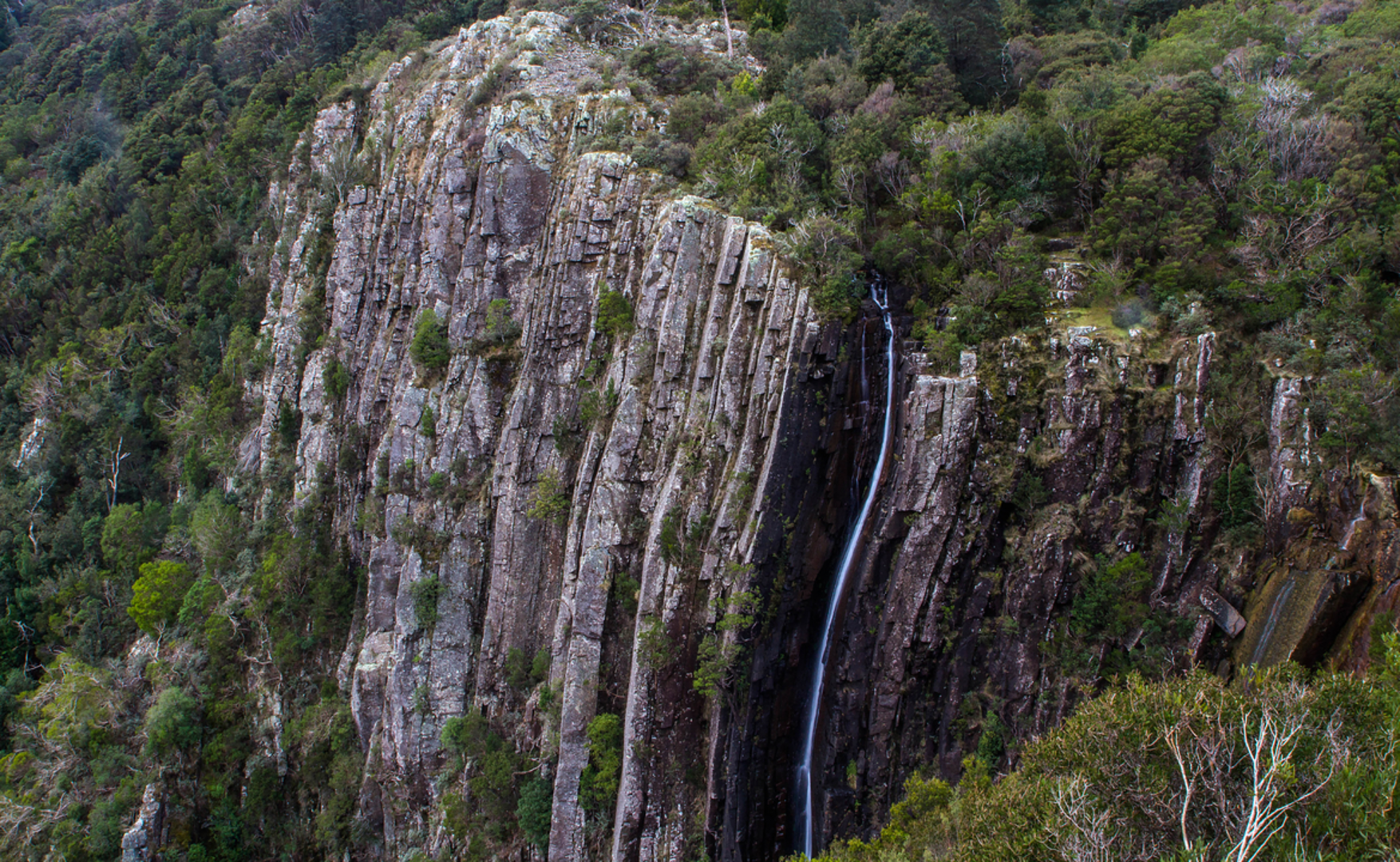 An image depicting the trail Ralphs Falls Walk and its surrounding area.