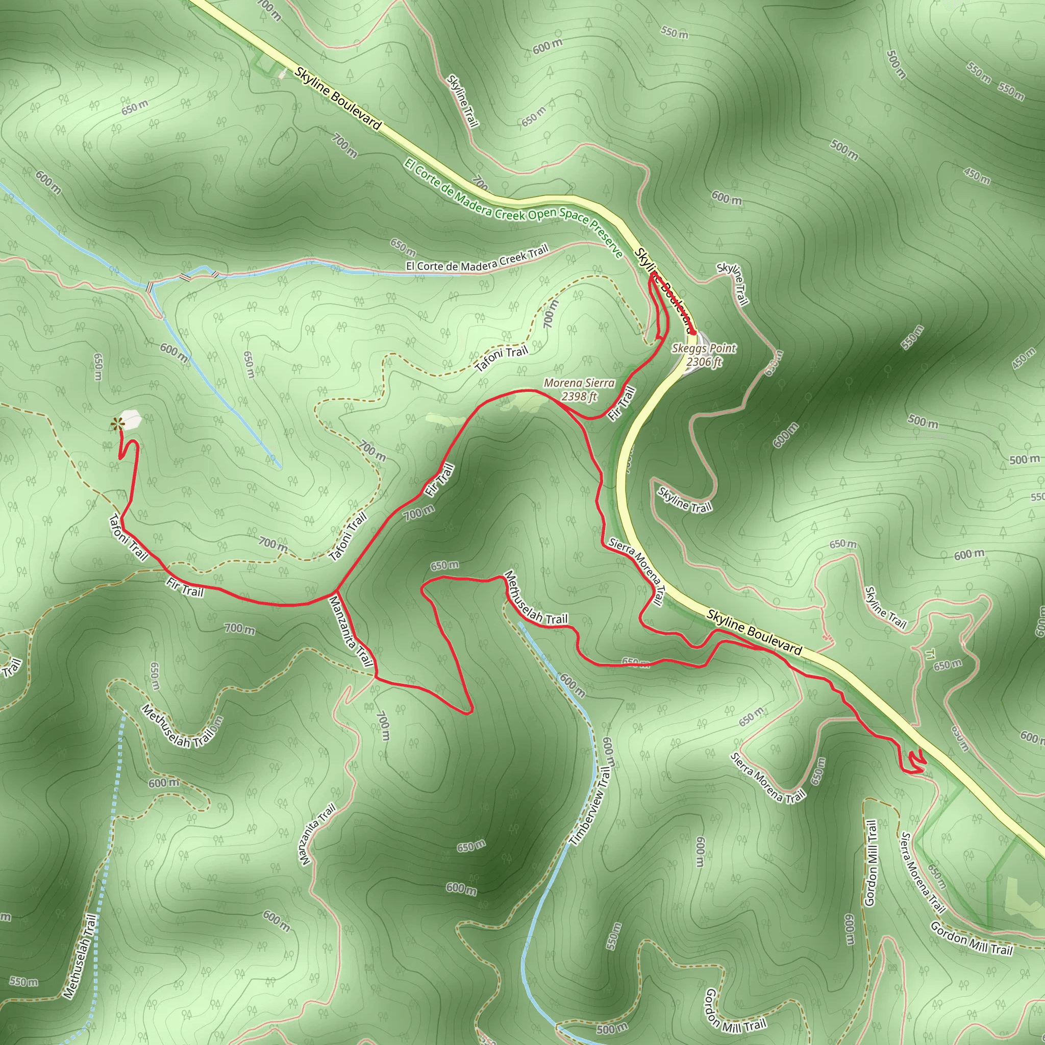Morena Sierra Loop via Tafoni Trail and Methuselah Trail mobile static map