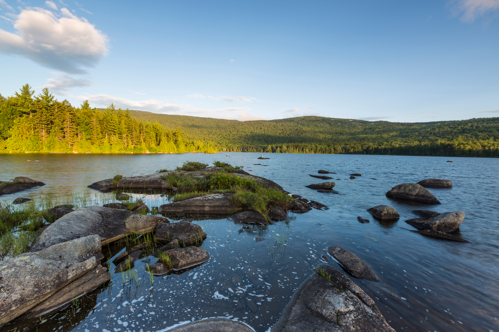 An image depicting the trail Bald Mountain and Pond and its surrounding area.