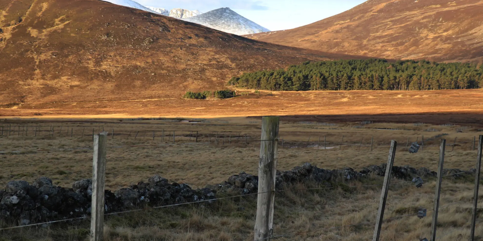 An image depicting the trail Conachcraig and Caisteal na Caillich Loop from Balmoral and its surrounding area.