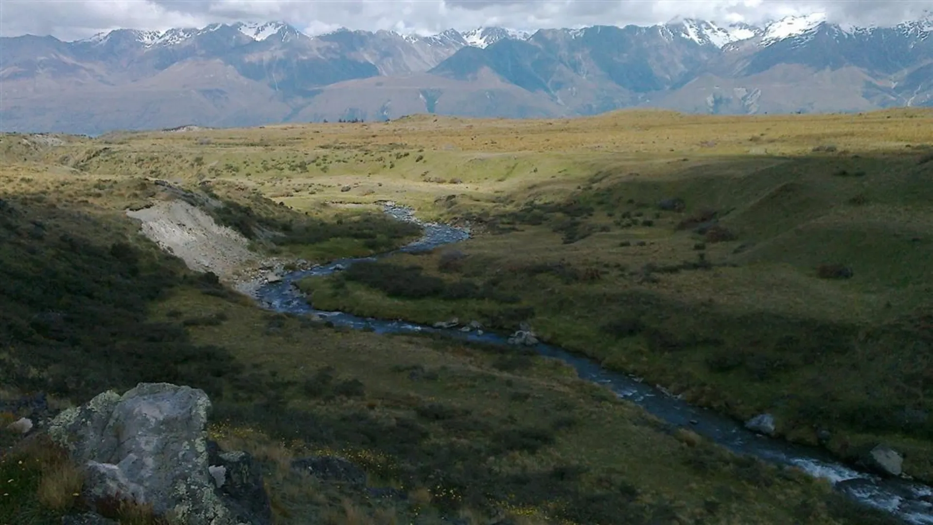 An image depicting the trail Braemar Road to Landslip Creek and its surrounding area.