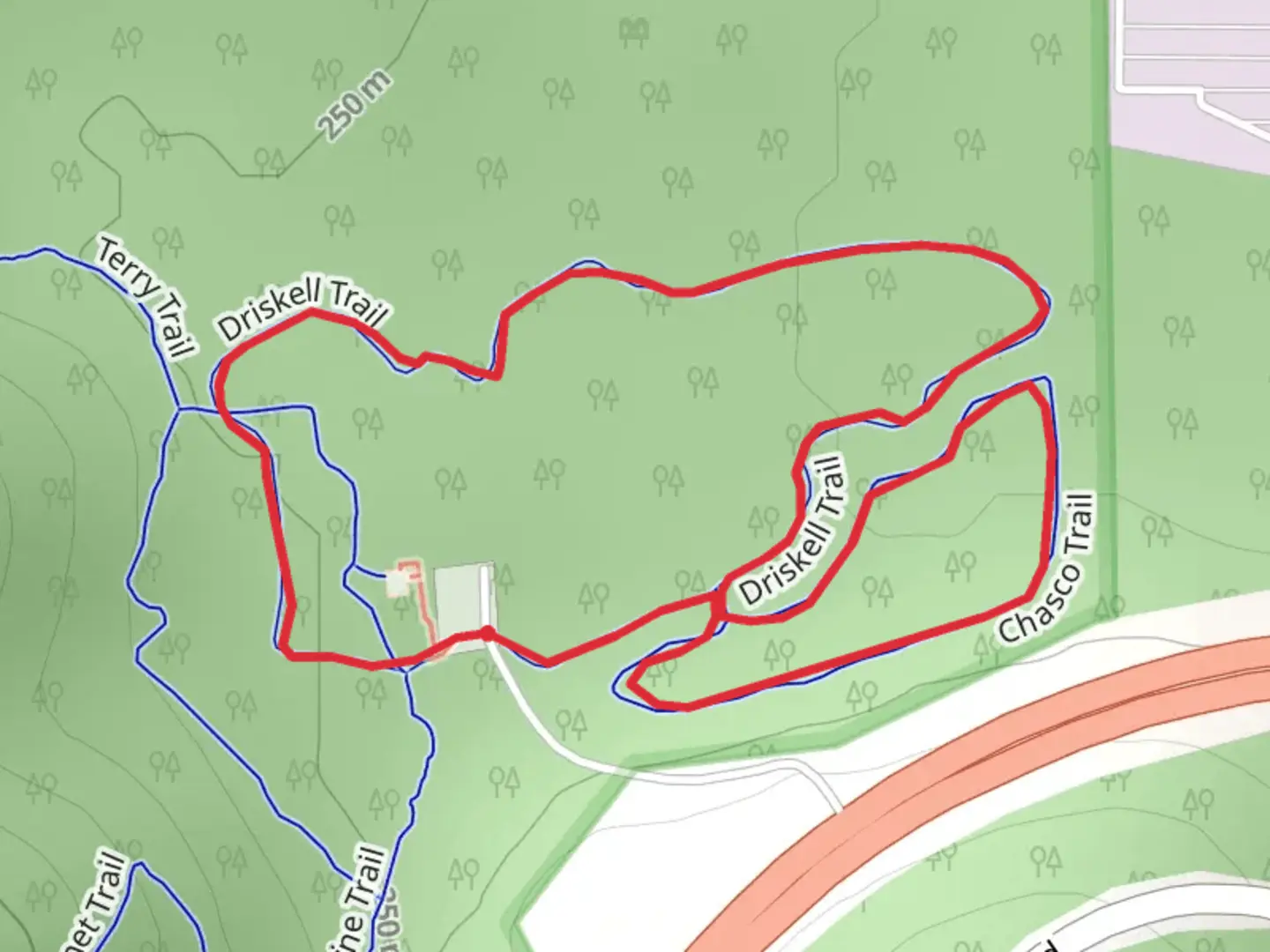 An image depicting the trail Driskell and Chasco Loop Trail and its surrounding area.