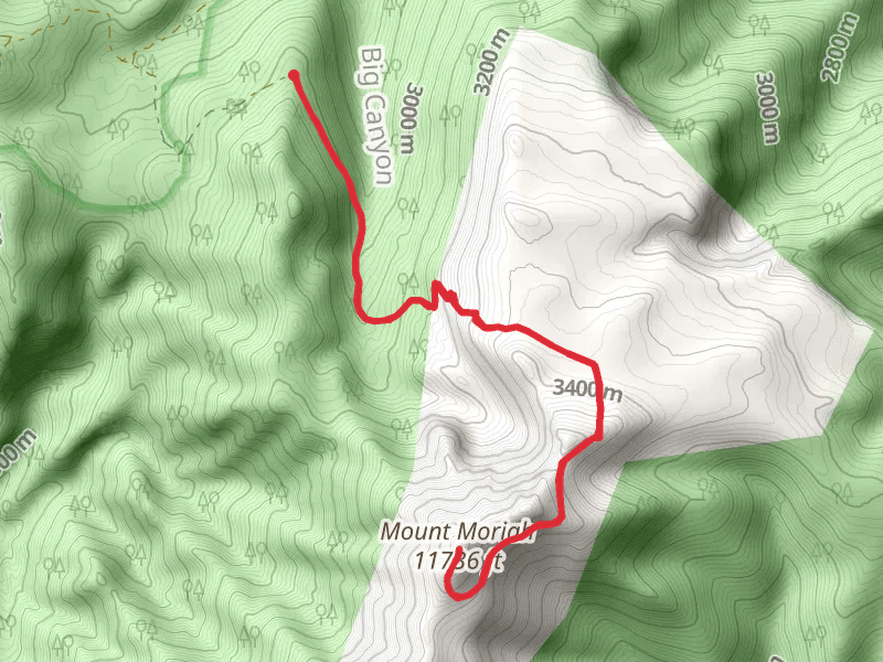 Mount Moriah via Pack Trail