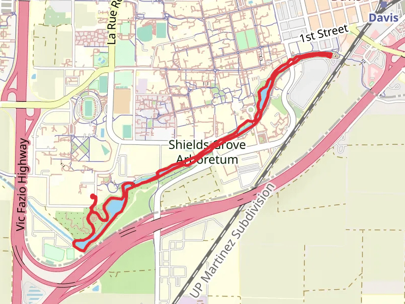 Shields Grove Arboretum Loop