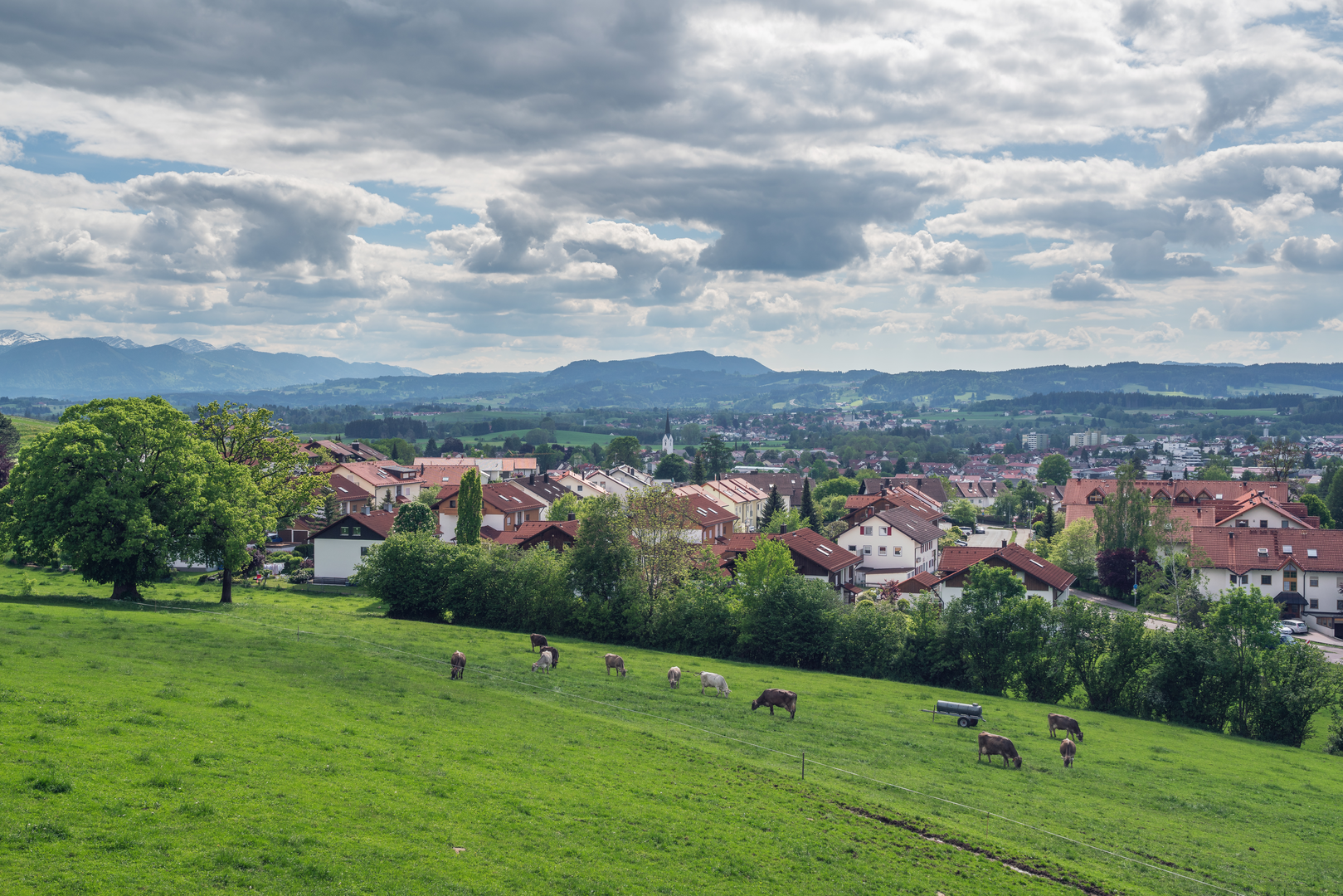 An image depicting the trail Wasserläufer - Route and its surrounding area.