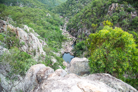 Koonin Lookout Track