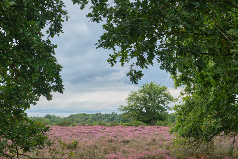 Langeveen to Molendijks via Manderheide and Gaswinning Paarden