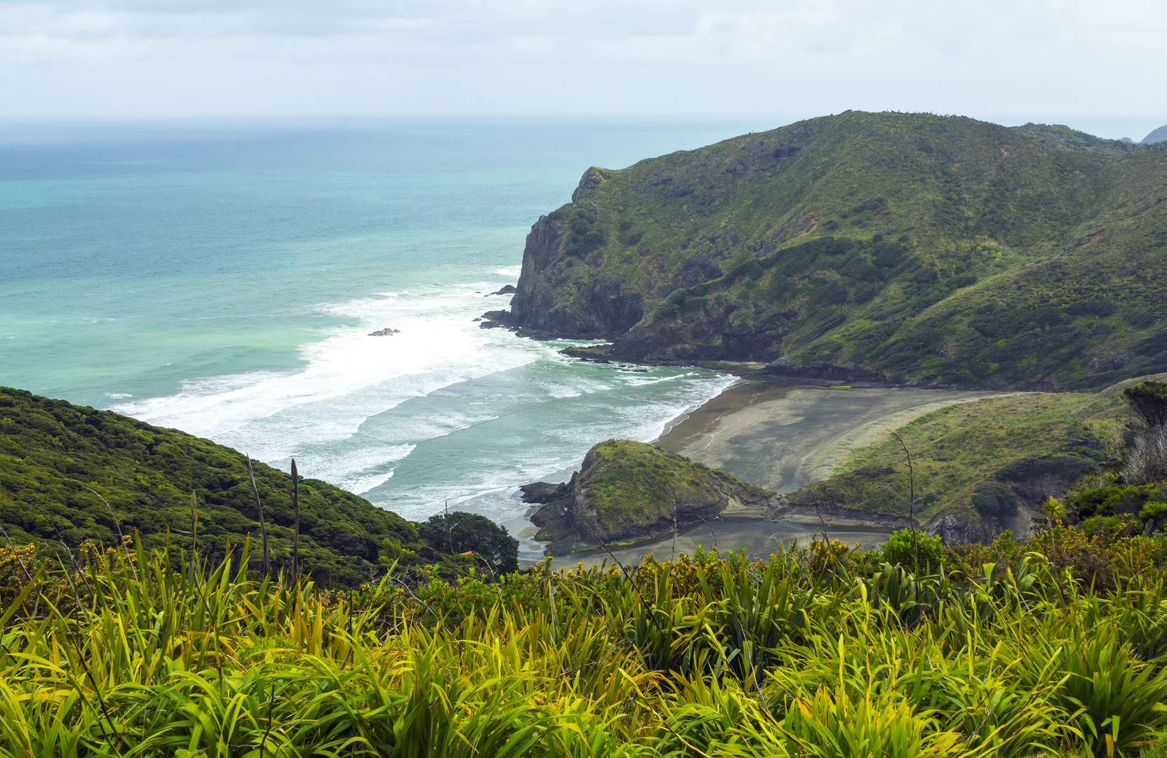 An image depicting the trail Anawhata and Whites Beach Loop and its surrounding area.