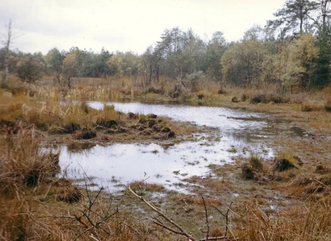 Hochmoor, Ahrensfelder Damm and Neuenfelde Loop