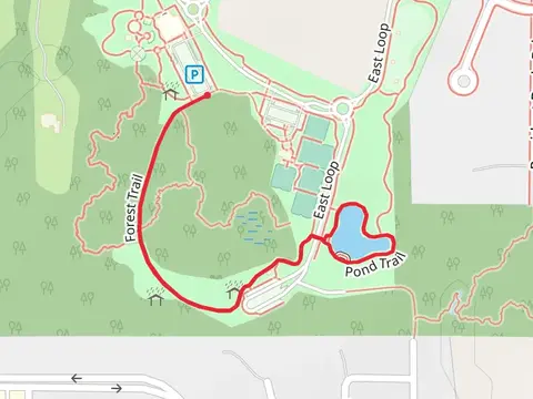 Pond Trail