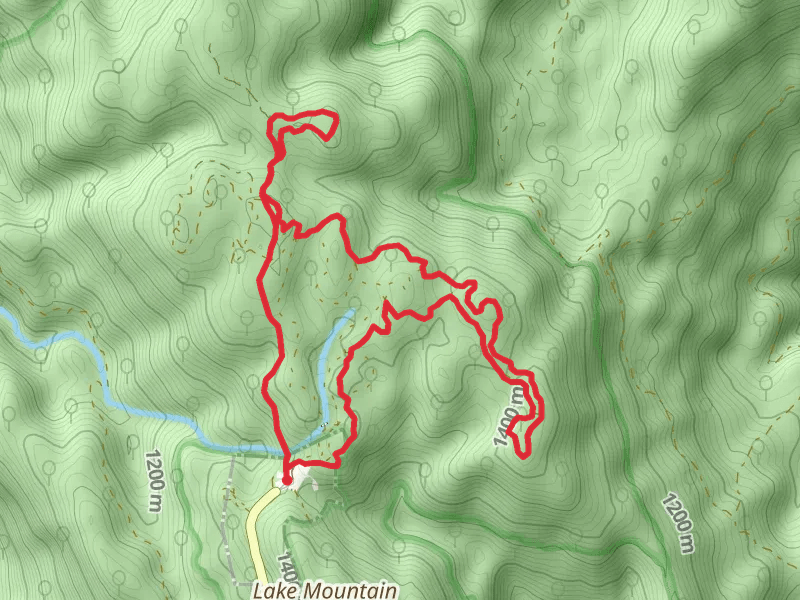 Lake Mountain Woolbutt Loop Trail