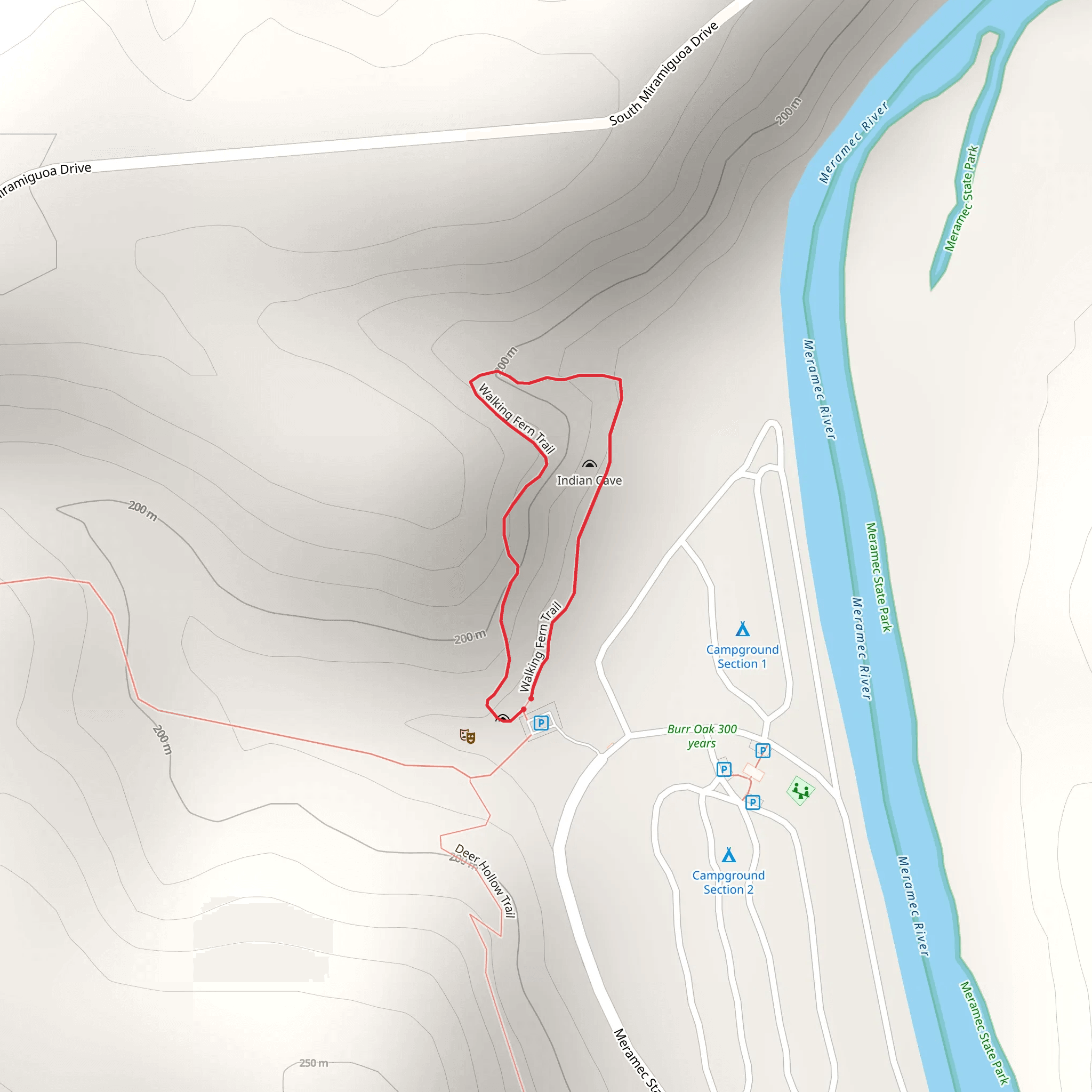 Walking Fern Loop Trail mobile static map