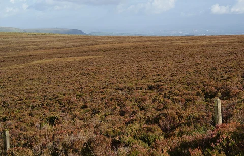 Darwen Hill Loop