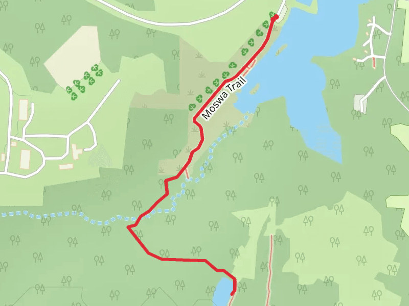Moswa Trail Out and Back