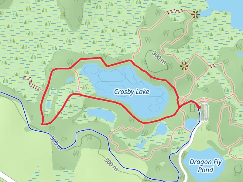 Crosby Lake Loop via Tamarack Trail