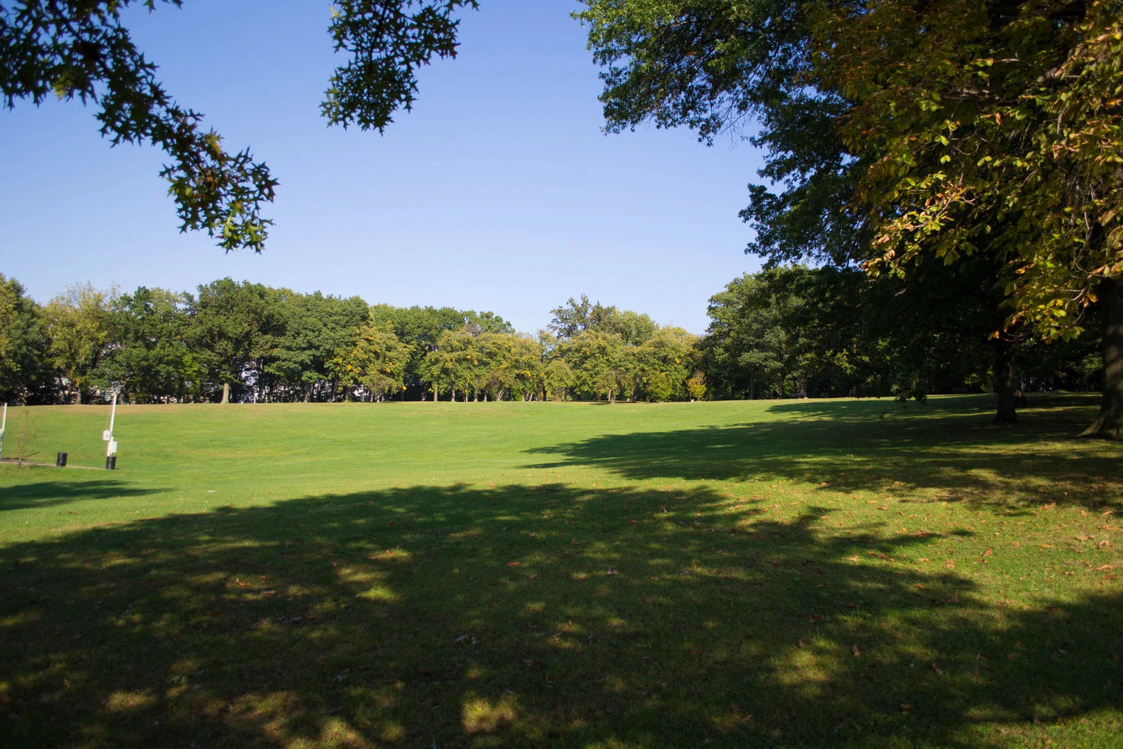 An image depicting the trail Scheneley Park Loop Trail and its surrounding area.