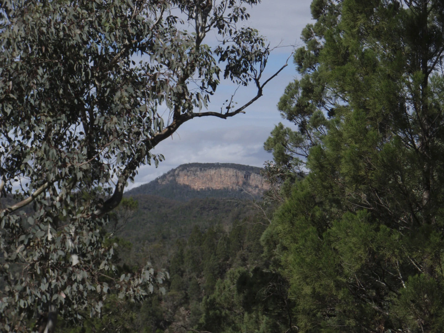 An image depicting the trail Mount Murga to Mount Nangar Loop Walk and its surrounding area.