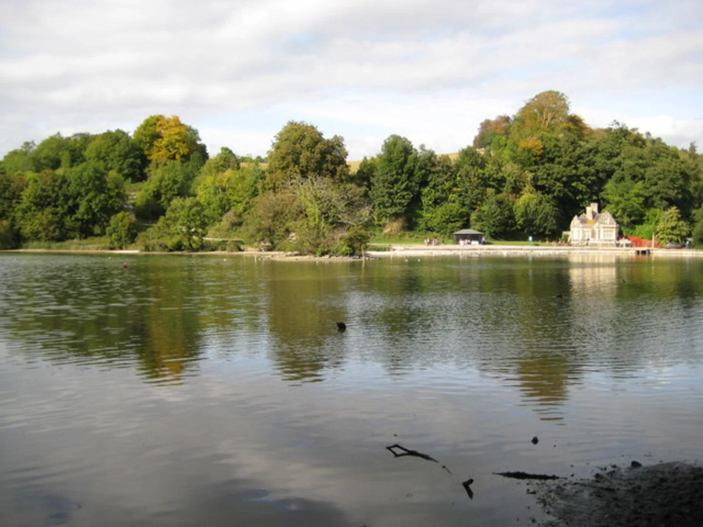 An image depicting the trail Swanbourne Lake and River Arun Loop and its surrounding area.