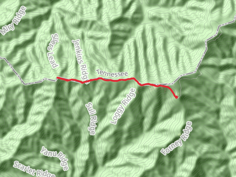 Mt Buckley, Jenkins Knob and Silers Bald via Appalachian Trail