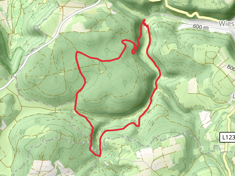 Papiermuhle to Brunnen and Hasental Loop