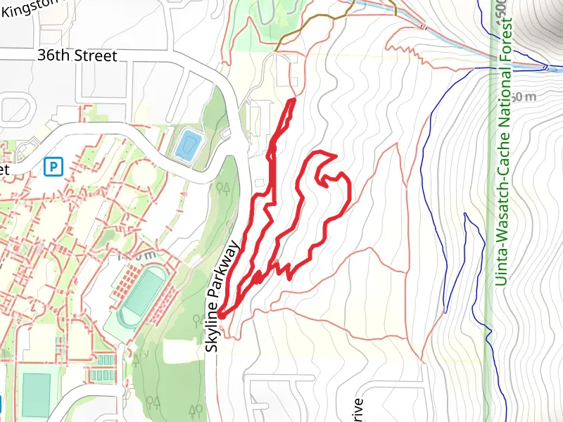 WSU Parcourse Trail and WSU Discovery Loop