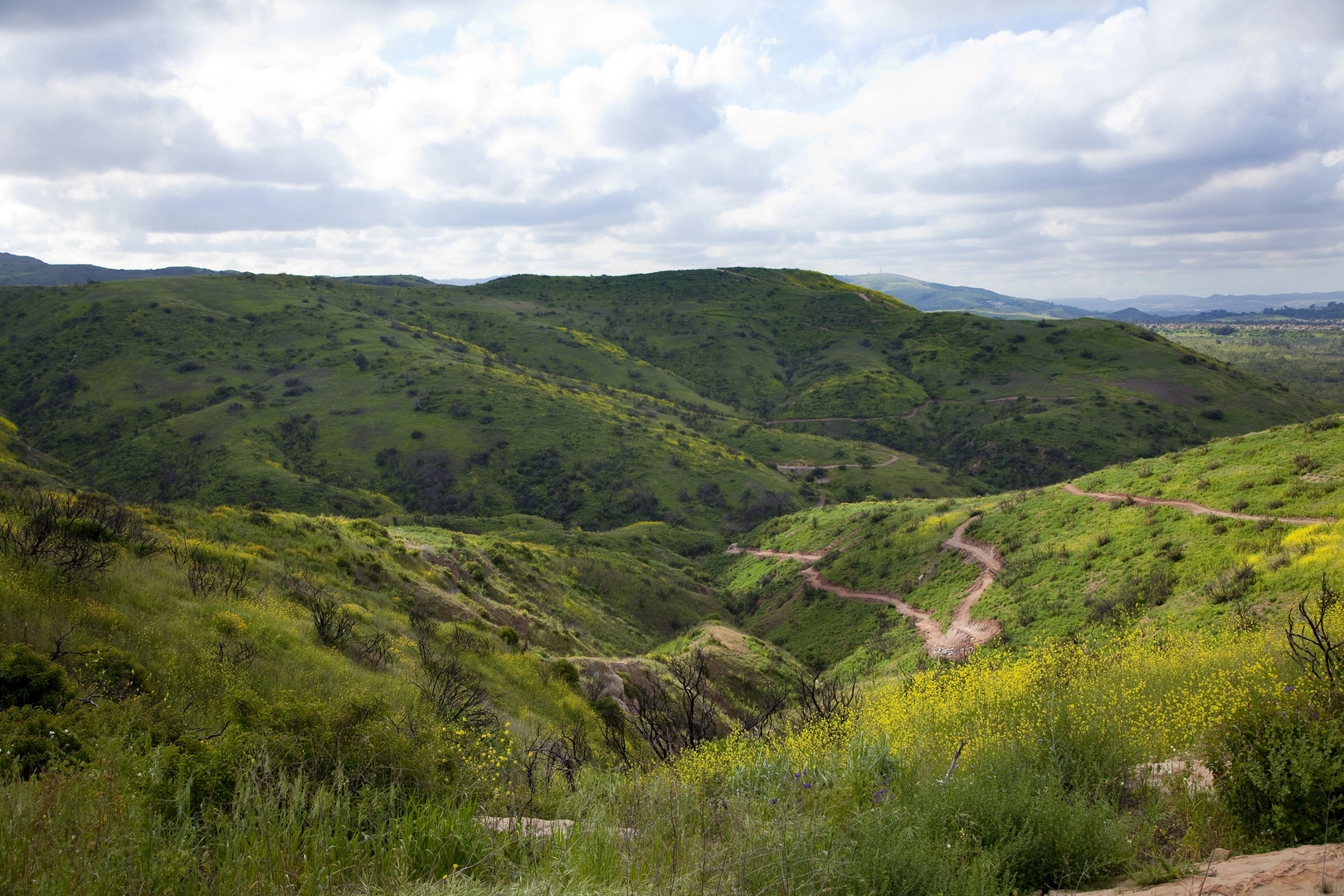 An image depicting the trail Santiago Creek - Great Egret - Horseshoe Loop Trail and its surrounding area.