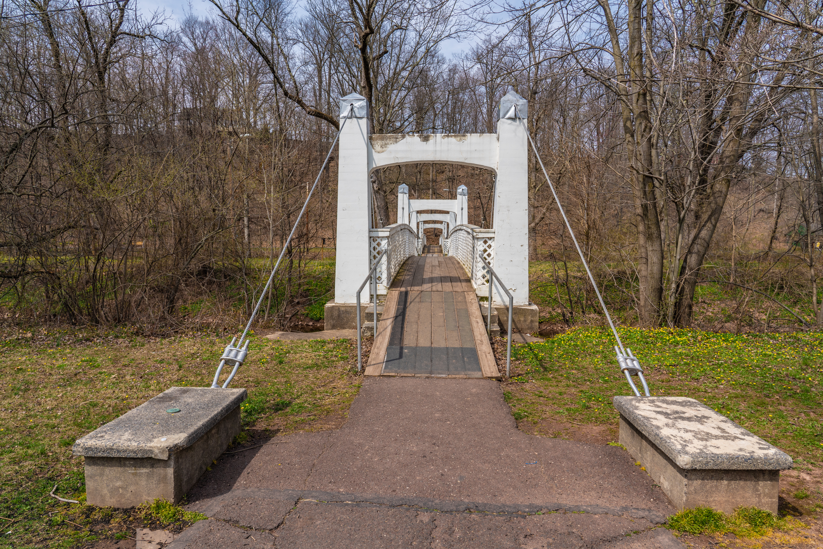 An image depicting the trail Lenape Trail and its surrounding area.
