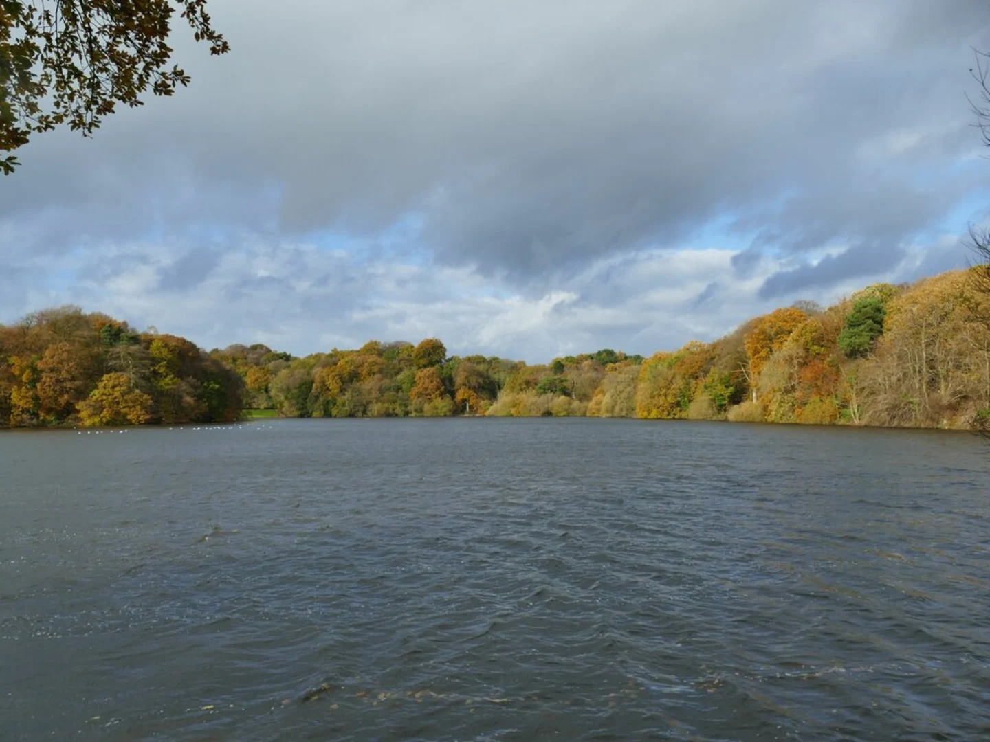 An image depicting the trail Kynpersley Reservoir and Endon and Stainley Country Park and its surrounding area.